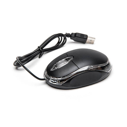 Pro 4 kanaals - NVR Recorder