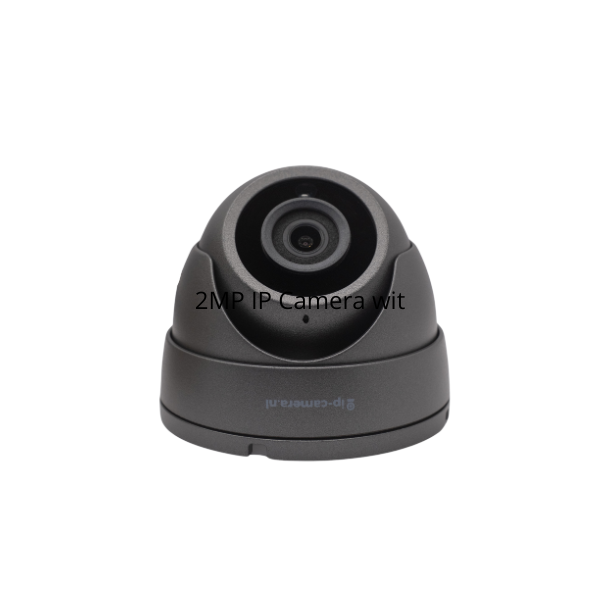 Basic Dome Beveiligingscamera met Sony 2mp Cmos