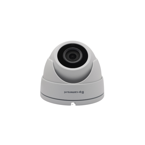 Basic Dome Beveiligingscamera met Sony 2mp Cmos