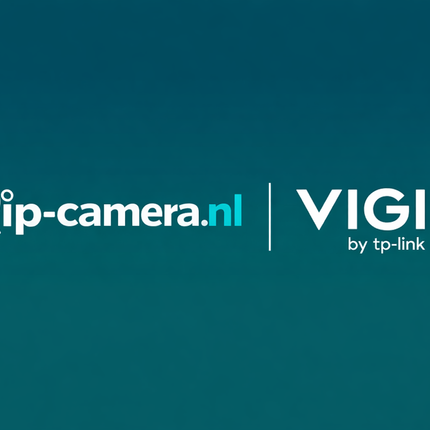 ip-camera.nl X VIGI by tp-link Insight S485PI 4K Panorama 180 graden camera met AI